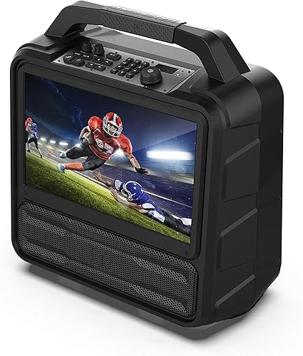 Portable entertainment system with 15.6" Full HD screen