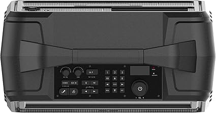 Portable entertainment system with 15.6" Full HD screen